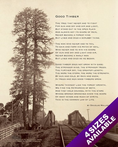Good timber douglas malloch - by,