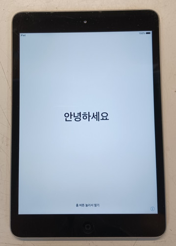Apple ipad mini - ipad,