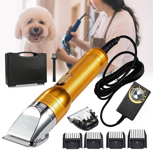 Electric professional dog - professional,