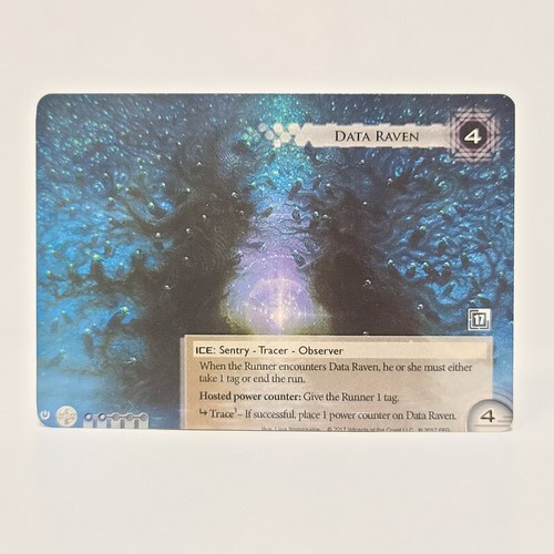 Data raven organzied play - raven,