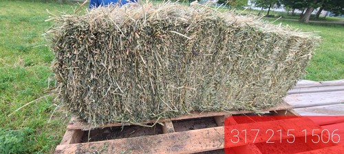 Alfalfa grass hay square - grass,
