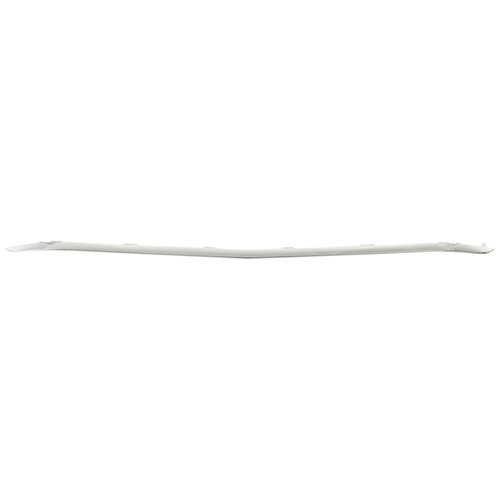 Front bumper trim - front, for