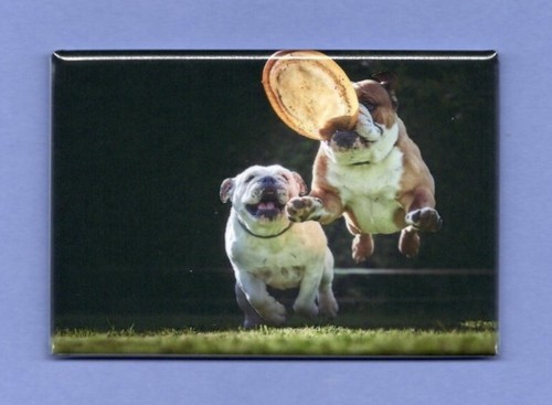 Bulldog 2x3 fridge - *2x3,