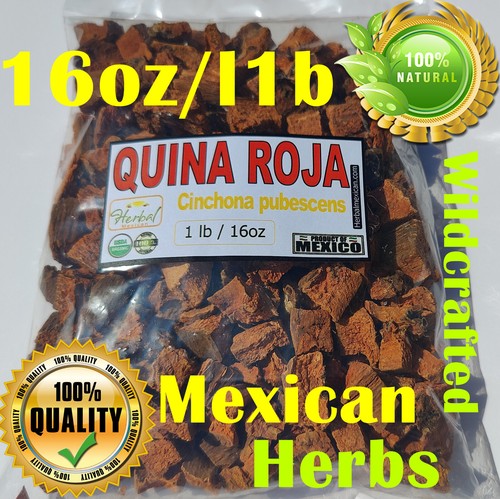Quina roja cinchona - quina, roja,cinchona,peruvian