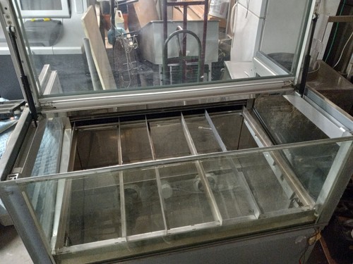 Gelato display case orion - gelato,
