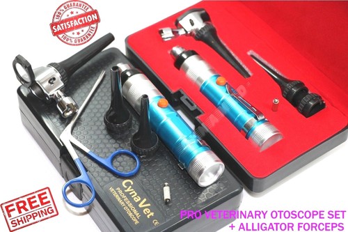 Professional veterinary - professional,