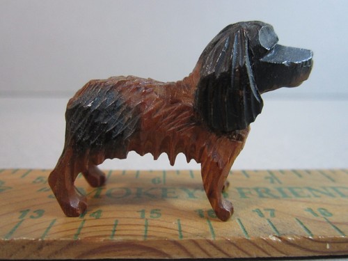 Spaniel cavalier king charles - king,