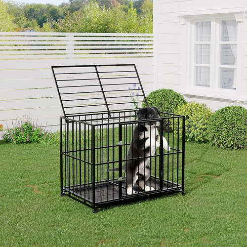 Stainless steel dog crate - dog,