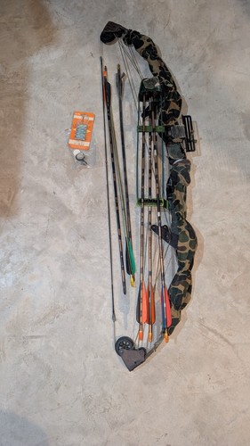 Bear whitetail hunter - bear,
