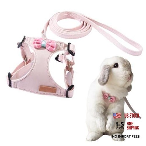 Rabbit harness and leash - and,
