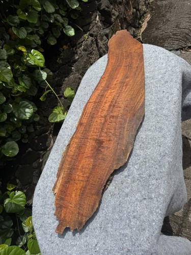 Reclaimed curly hawaiian koa - curly,