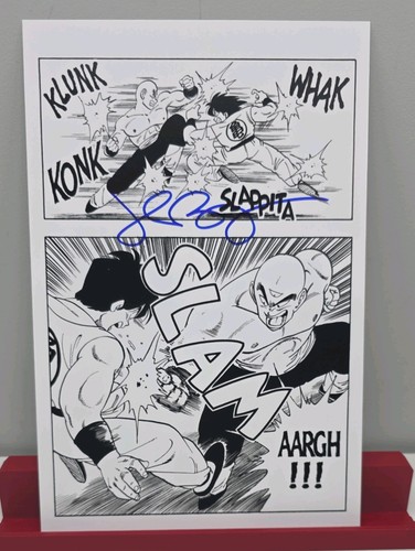 Dragon ball print - dragon, tien