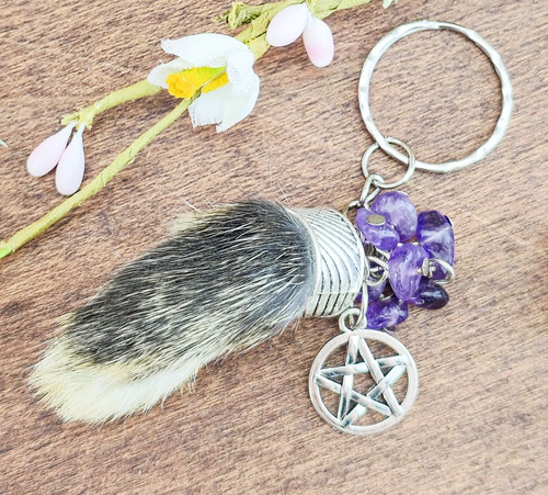 Rabbit foot taxidermy - foot, &