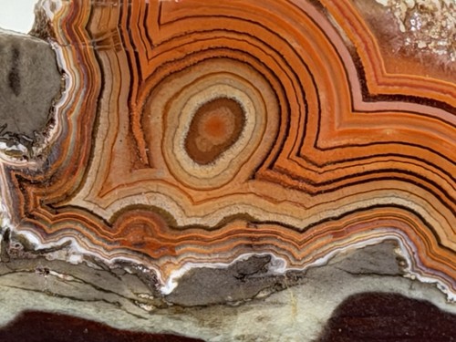 Montana dryhead agate - agate, slab