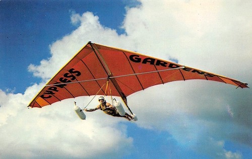 Delta wing kite - delta,
