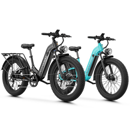 Fat tire electric bike - tire,