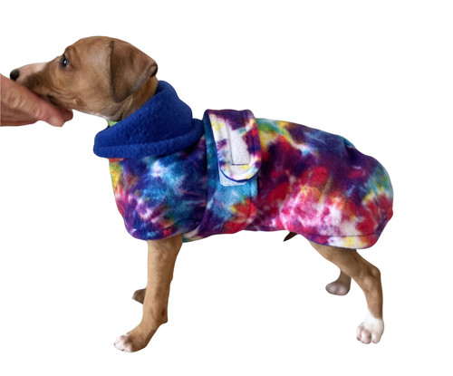Italian greyhound extra small - italian,