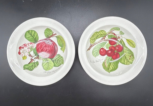 Portmeirion soup pasta bowl - 2,