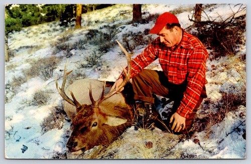 Vintage hunter with - vintage, point
