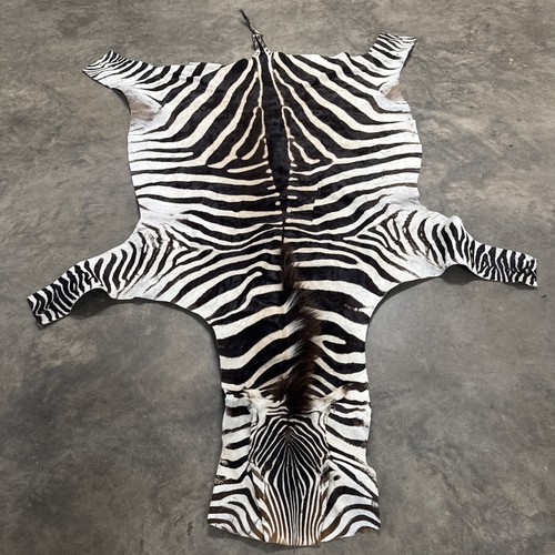 Genuine zebra hide - zebra,