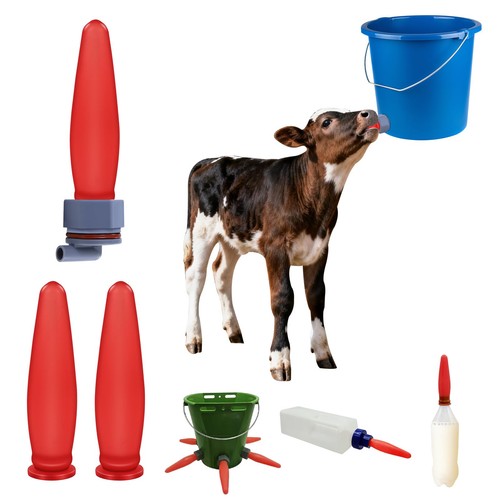 Pcs red calf bottle nipples - 3,