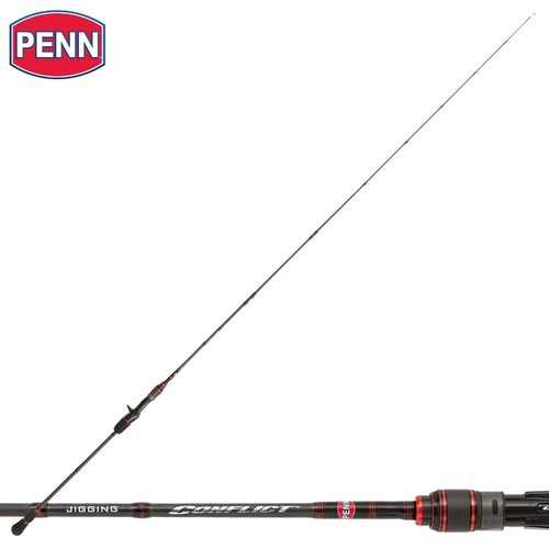 Penn saltwater baitcasting - penn,