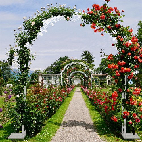 Heavy duty garden arch arbor - heavy,