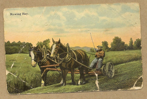 Antique mowing hay postcard - mowing,