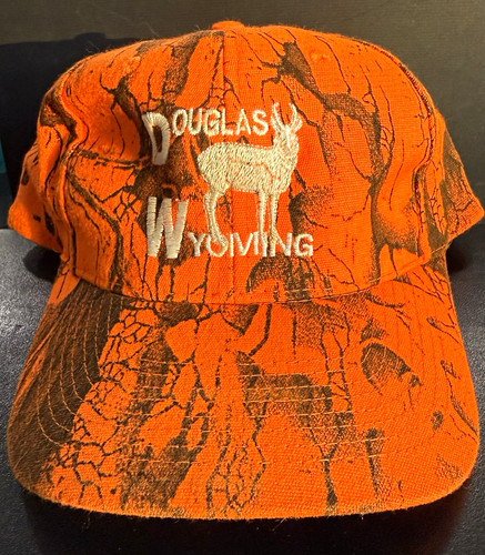 Vintage douglas wyoming - vintage,