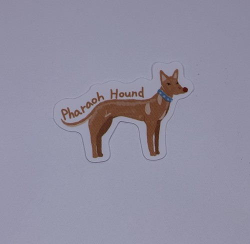 Pharaoh hound dog sticker cute - dog,