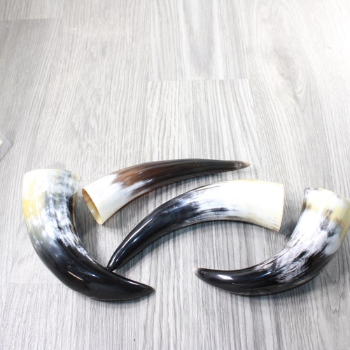 Small polished cow horns - small,