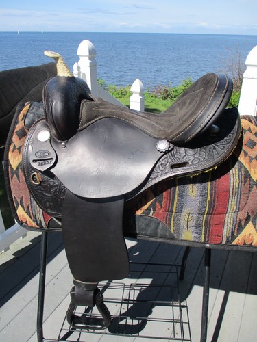 Full qh bars riders - 16'',