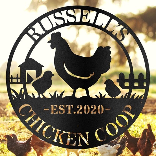 Custom metal chicken coop - custom,