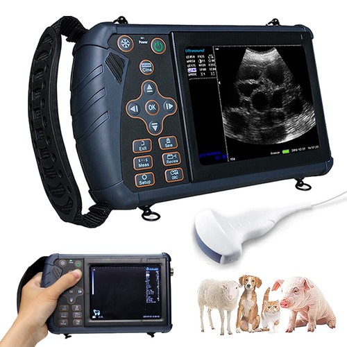 Veterinary ultrasound scanner - veterinary,