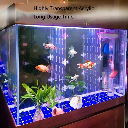 Acrylic fish tank divider - tank, grid