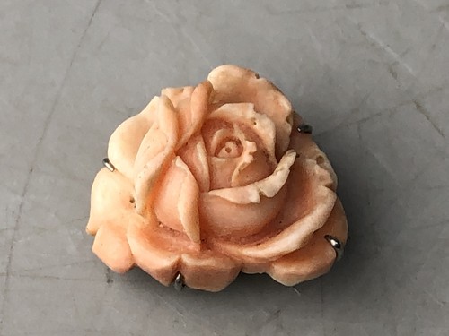 Y8269 obidome coral - y8269, flower