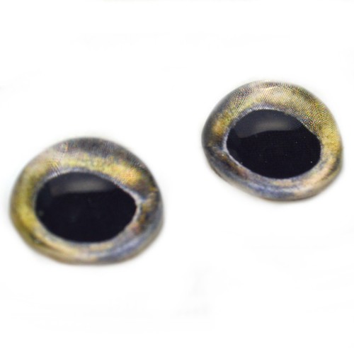 Pair high dome coho salmon - pair,