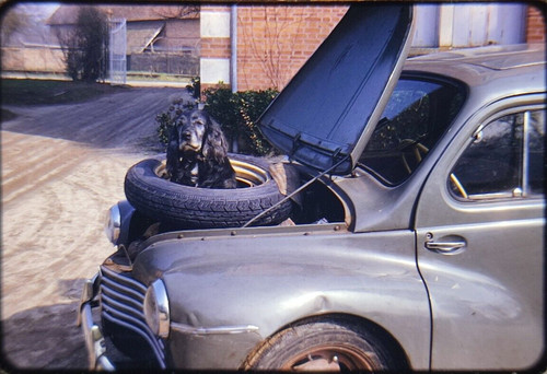 Renault 4cv old car 1954 - old,