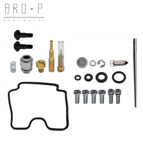 Carburetor rebuild kit - kit, for