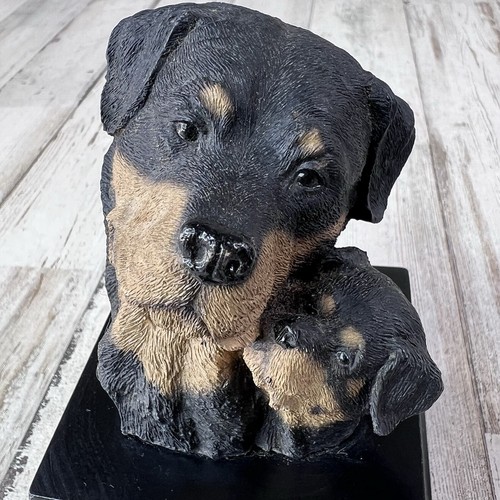 Living stone mom rottweiler - living,