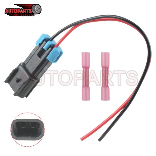 Back light plug for polaris - light,