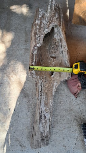 Petrified log large - log, piece