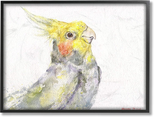 Cockatiel bird portrait - 'cockatiel,