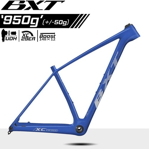 Bxt 29er t1000 carbon mtb - carbon, bike