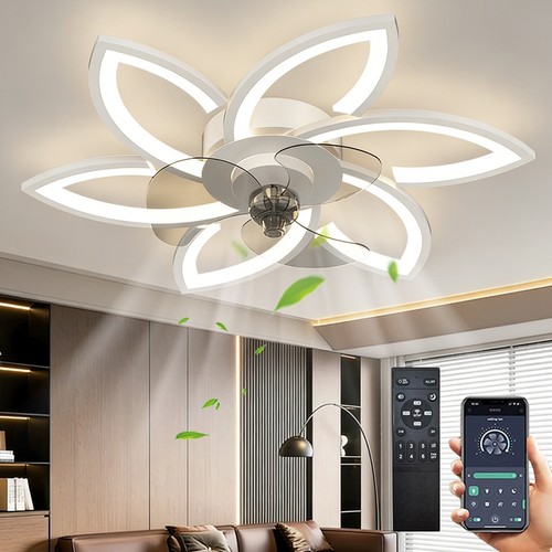 Ceiling fan with - ceiling,