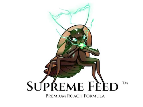 1lb dubia food perfect - 1lb,