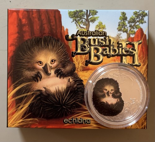 2013 australia echidna bush - australia,