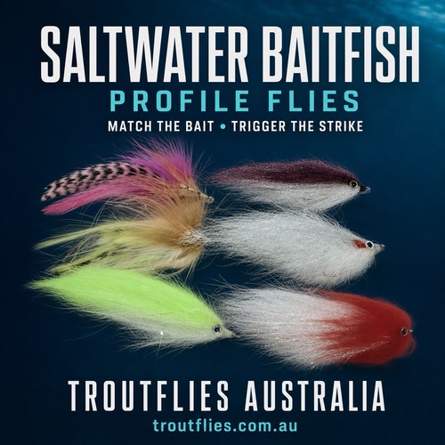 Salt water baitfish profile - water,