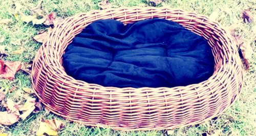 Dog bed cat - , pet