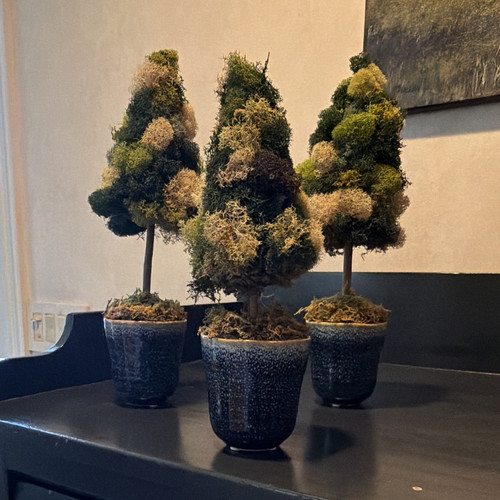 Set artificial moss - of, 3
